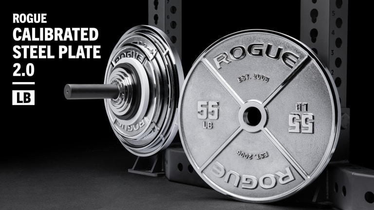 カールスジュニア　メタルプレート Rogue Calibrated LB Steel Plates 2.0 - Chrome | Rogue Fitness